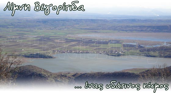 Οριστικά στην Βεγορίτιδα οι μεγάλοι κολυμβητικοί αγώνες!
