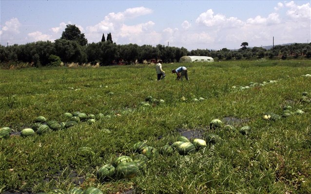 Πρόγραμμα Αγροτικής Ανάπτυξης 4,7 δισ. για την Ελλάδα