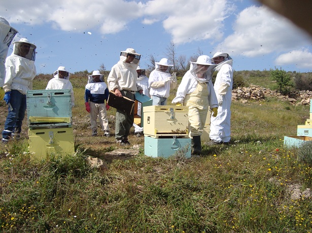 Ταχύρυθμη τριήμερη εκπαίδευση για μελισσοκόμους στην Ημαθία