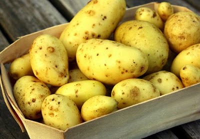 Π.Ε. Πέλλας: Ανακοίνωση για εξαγωγείς πατάτας και φυτών προς τη Ρωσία