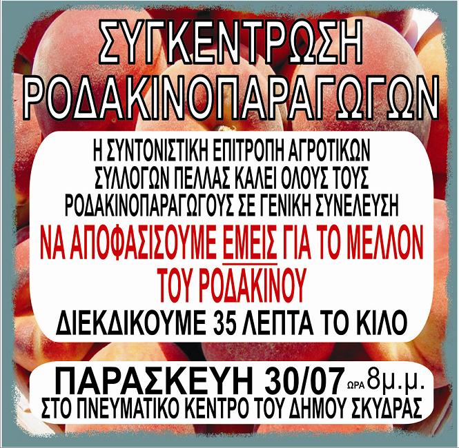 Σύσκεψη ροδακινοπαραγωγών