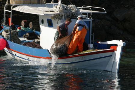 Προσκλήσεις στο πλαίσιο του Επιχειρησιακού Προγράμματος Αλιείας