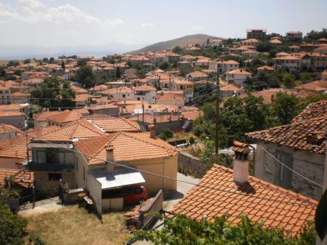 Εθελοντική ομάδα στη Δάφνη