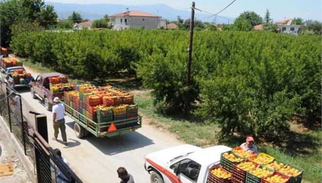 Θεοδωρίδης: σοβαρή κρίση στις εξαγωγές νωπών και μεταποιημένων αγροτικών προϊόντων της Πέλλας και της Ημαθίας.