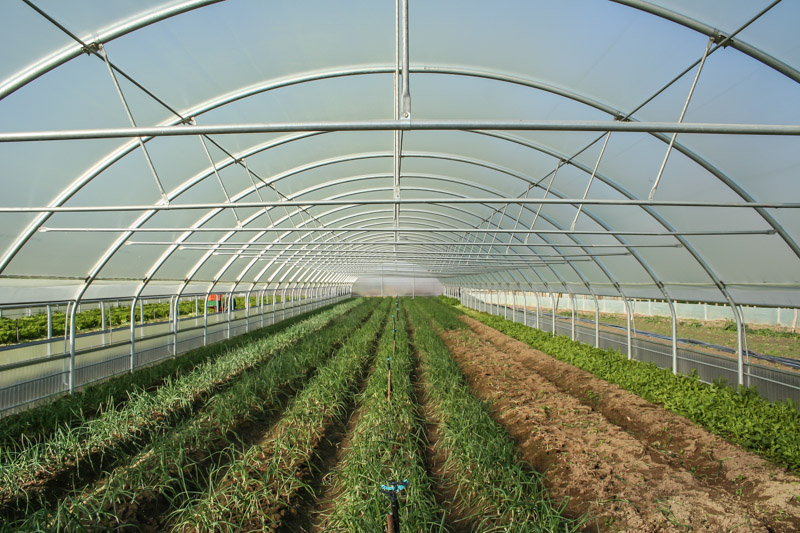 Τερματίζεται η χρήση του υποκαπνιστικού εδάφους διχλωροπροπένιο στις θερμοκηπιακές καλλιέργειες