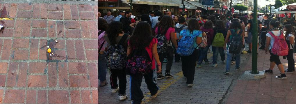 Στο χορό των κινητοποιήσεων μπήκαν και οι μαθητές των Γυμνασίων και Λυκείων της Πέλλας