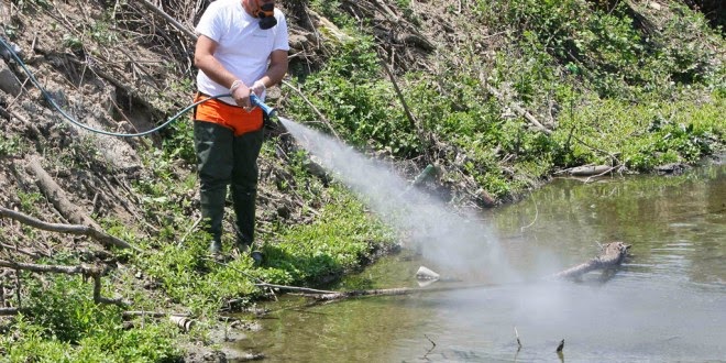 Ανυπόφορη η κατάσταση με τα κουνούπια στην Κεντρική Μακεδονία