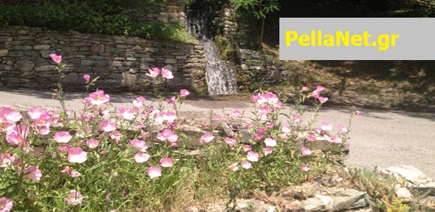 PellaNet: Ένα όμορφο μεσημέρι στα Λουτρά Πόζαρ… [ΕΙΚΟΝΕΣ – Μέρος Α’]