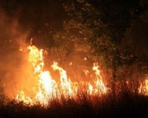 Αυξημένη επικινδυνότητα για Δασικές Πυρκαγιές