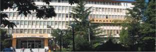 Εγκρίθηκε η δημοπράτηση της γέφυρας Μεσσιανού