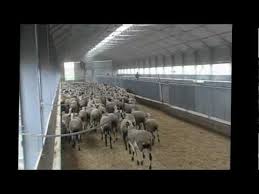 Συνελήφθησαν ένας 30χρονος ημεδαπός και αναζητείται ένας 39χρονος ημεδαπός