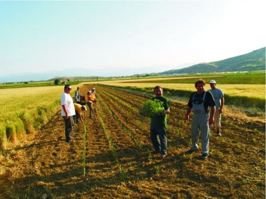 Ενημερωτική Ημερίδα στο Πολύκαστρο για το ρόλο της τοπικής Αυτοδιοίκησης στην Αγροτική Ανάπτυξη