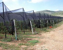 Επέκταση του προγράμματος αντιχαλαζικής προστασίας του 2011 προωθεί ο ΕΛΓΑ