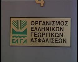 ΕΛΓΑ: Αποζημιώσεις καταβάλλει στους τραπεζικούς λογαριασμούς 399 παραγωγών