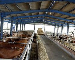 Αλλαγή στη διαδικασία αδειοδότησης σταυλικών εγκαταστάσεων βάσει του νόμου 4056/2012.