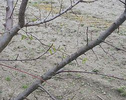 Εγκατάσταση αντιχαλαζικής προστασίας