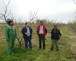 Άμεσο ήταν το ενδιαφέρον από τον Βουλευτή Πέλλας Ιορδάνη Τζαμτζή