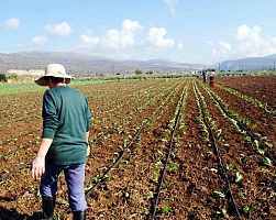 Ερώτηση βουλευτών ΚΚΕ για ΦΠΑ αγροτών