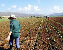 Εως 22.000 ευρώ η οικονομική ενίσχυση που μπορεί να λάβουν οι νέοι αγρότες