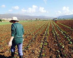 Ετοιμάζουν χαράτσι και για τα… αγροτεμάχια