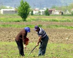 Η Συντονιστική Επιτροπή Αγροτικών Συλλόγων Πέλλας καλεί όλους τους γεωργοκτηνοτρόφους σε συνέλευση στο πνευματικό κέντρο Σκύδρας την Παρασκευή στις 7:00 μ.μ