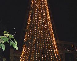 Άναψε το Χριστουγεννιάτικο δέντρο στα Γιαννιτσά
