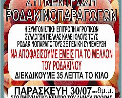 Η ΠΑΣΥ Ν. Πέλλας-Ημαθίας για το ροδάκινο
