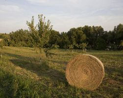 Ημερίδα στην Πέλλα «Βιοποικιλότητα, Περιφερειακή και Τουριστική ανάπτυξη»