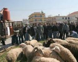 Για αρνητικές επιπτώσεις που δέχεται ήδη η αγελαδοτροφία