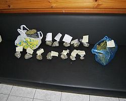Συνελήφθησαν δύο άτομα για κλοπή, πλαστογραφία και ναρκωτικά στη Σκύδρα Πέλλας