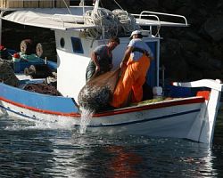 Προσκλήσεις στο πλαίσιο του Επιχειρησιακού Προγράμματος Αλιείας