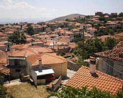 Εθελοντική ομάδα στη Δάφνη