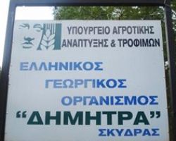 Ημερίδα στην Σκύδρα για τους αγρότες και τους κτηνοτρόφους