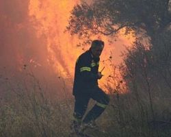 Φωτιά σε δασική περιοχή στην Έδεσσα