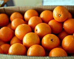 Ανακοίνωση από τον σύλλογο πολυτέκνων για την διανομή των πορτοκαλιών