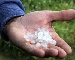 Συνεργασία Θ. Τζάκρη – Προϊσταμένης ΕΛΓΑ Βεροίας για την χαλαζόπτωση που έπληξε χθες τοπικές περιοχές