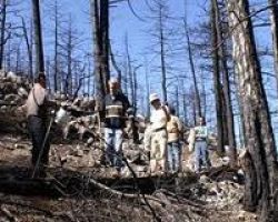 «Να μην εξαιρεθούν οι δασεργάτες από τη λίστα των Βαρέων και Ανθυγιεινών Επαγγελμάτων»