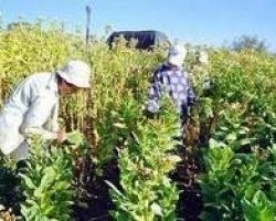 ΑΔΙΚΟΥΝΤΑΙ ΟΙ ΑΓΡΟΤΕΣ ΤΗΣ ΠΕΛΛΑΣ ΑΠΟ ΤΟ 144