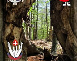 Εθελοντική Αιμοδοσία με τον Ορειβατικό Σύλλογο Αριδαίας