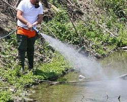 Ανυπόφορη η κατάσταση με τα κουνούπια στην Κεντρική Μακεδονία