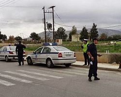 Αστυνομική επιχείρηση από τη Διεύθυνση Αστυνομίας Πέλλας