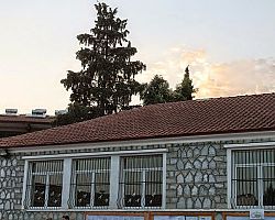 Δείτε το νέο Δ.Σ. του Συλλόγου Γονέων και Κηδεμόνων του 2ου Δημοτικού Σχολείου Αριδαίας [Ονόματα]