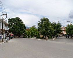 Καταγγελία αναγνώστη στο pellanet.gr: “Κυκλοφορεί και θανατώνει σκυλάκια στον Εξαπλάτανο Αριδαίας”