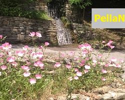 PellaNet: Ένα όμορφο μεσημέρι στα Λουτρά Πόζαρ… [ΕΙΚΟΝΕΣ – Μέρος Α’]