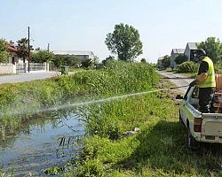 Συνεχίζεται εντατικά για 5η εβδομάδα το πρόγραμμα καταπολέμησης κουνουπιών στο Δήμο Πέλλας