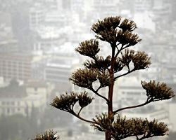 Αλλαγή στο σκηνικό του καιρού -Καταιγίδες και αφρικανική σκόνη