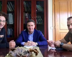 Δήμος Αλμωπίας: Εύρεση χώρου περισυλλογής για αδέσποτα ζώα