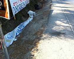 Απαγόρευση διαφημιστικών πινακίδων  στο Δήμο Πέλλας