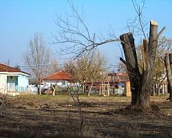 Ανεβάζει τους τόνους ο Νίκος Παπανικολάου: «Στο Δήμο Πέλλας ζούμε πολύ χειρότερα…»