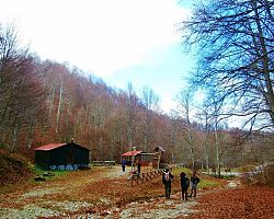 Kοπή πίτας του Ορειβατικού Συλλόγου Γιαννιτσών